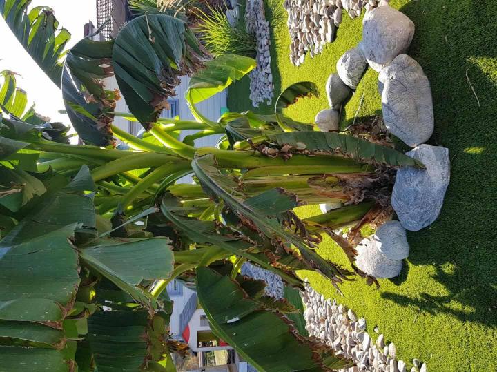Jardin en lame de terrasse
