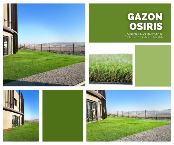 Gazon osiris Puy-de-Dôme