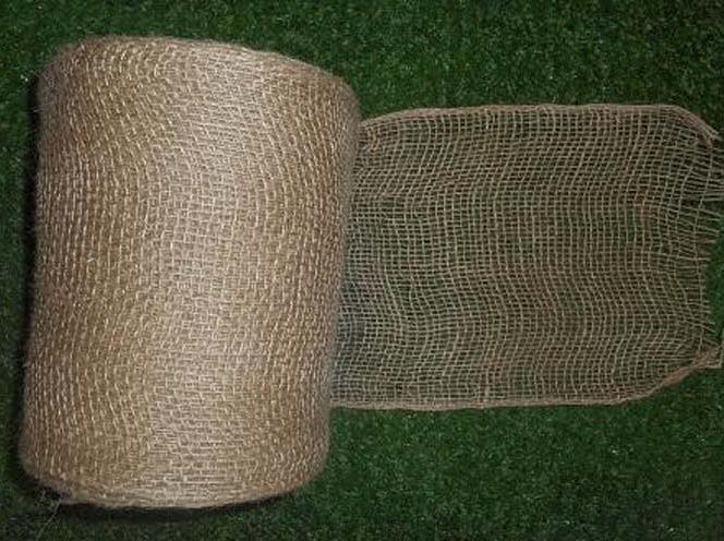 Protection de tronc Puy-de-Dôme