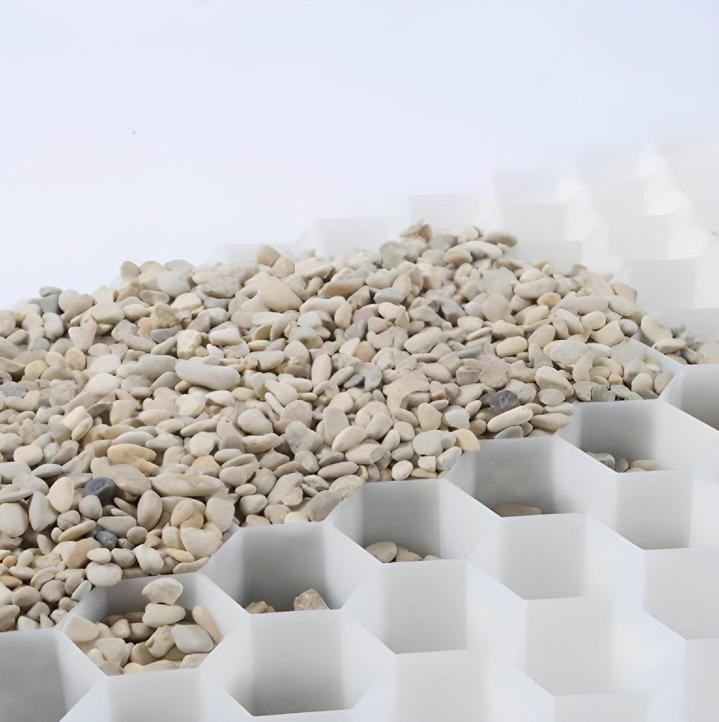 Dalle alveolaire Puy-de-Dôme