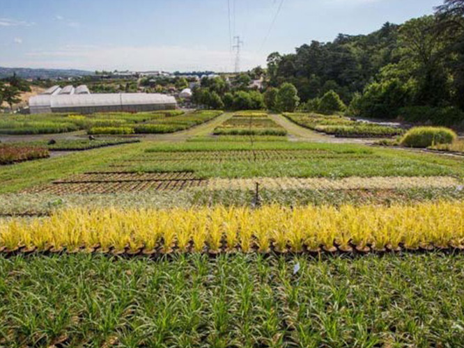 Terreau de plantation ( en m³ )