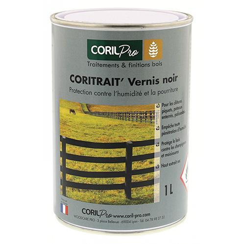 Bitumineux vernis Puy-de-Dôme