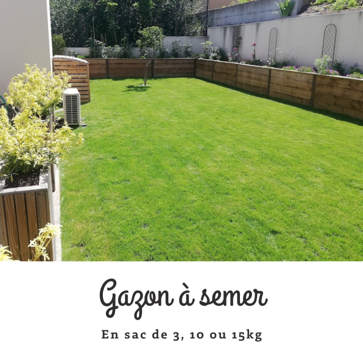 GAZON A SEMER