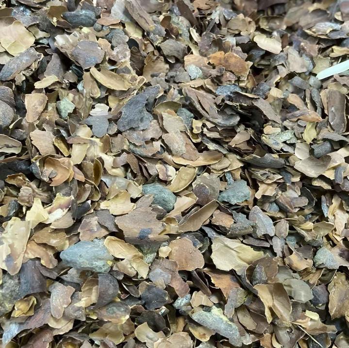 Coque de cacao Puy-de-Dôme