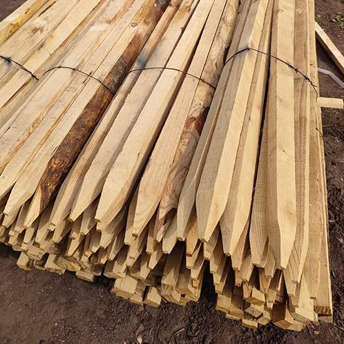 Echalas écorcés 13/15 Puy-de-Dôme