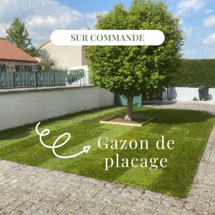 Gazon de placage Puy-de-Dôme