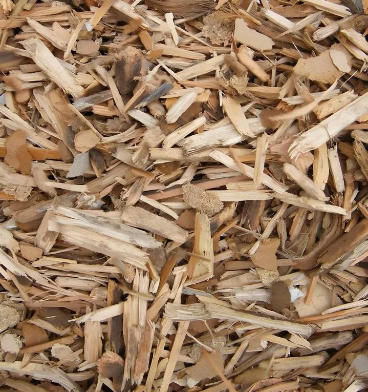 Bois rameal Puy-de-Dôme