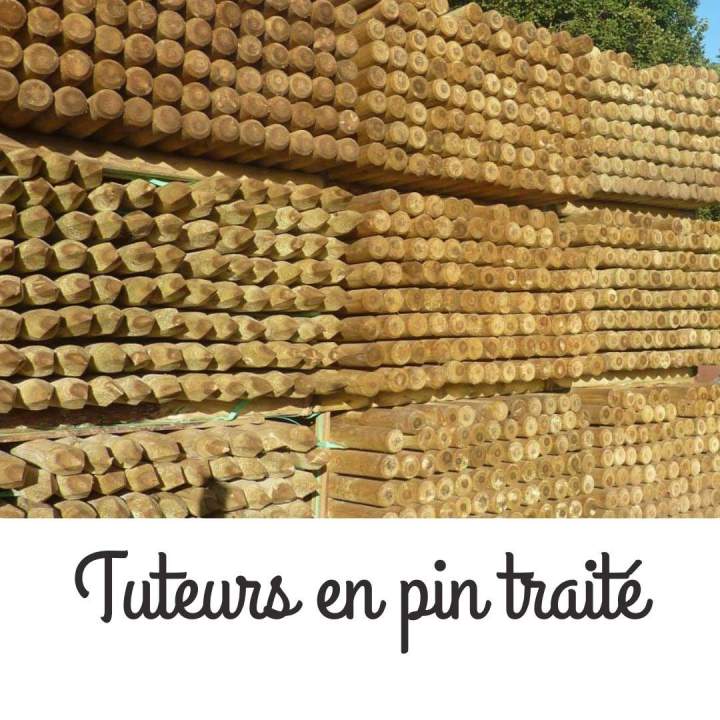 Tuteurs en pin traité  Puy-De-Dôme